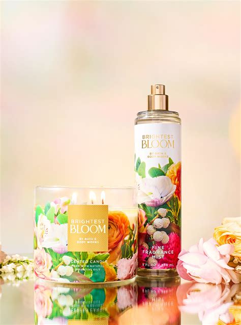 on the horizon bath and body works dupe|brightest bloom dupe.